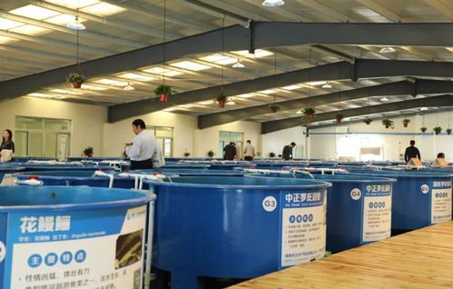 首屆廣東漁業種博會 沒想到你是這樣的博覽會！