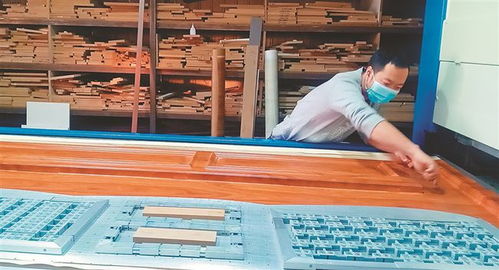 大慶 三產融合強根基，畜牧漁業飼料產業旺民生